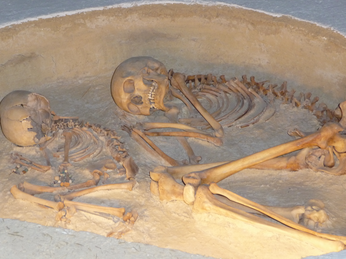 P1040451.JPG 3456x2592 index 207